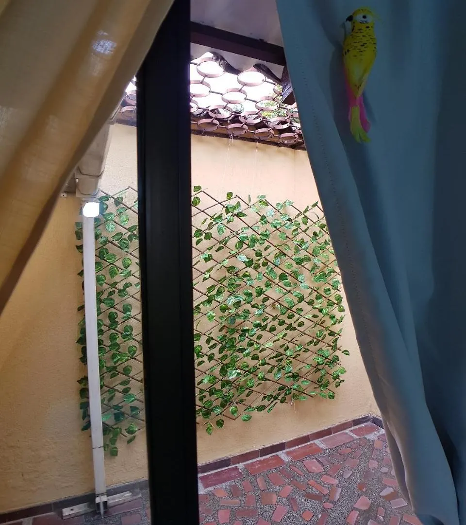 Casa Salsa Antoine Hostel Cali