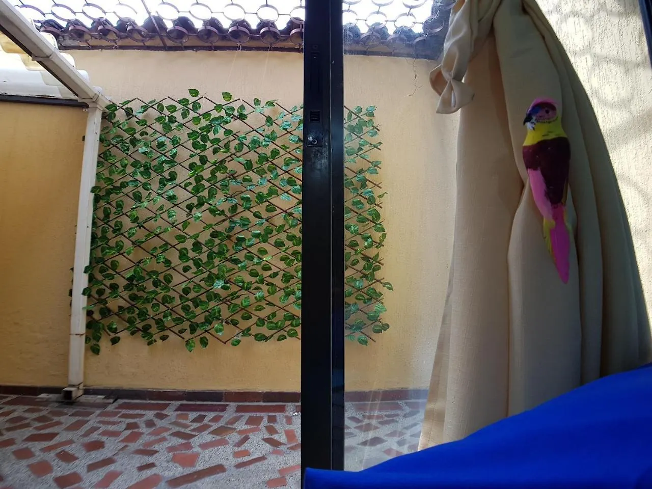 Casa Salsa Antoine Hostel Cali 0*,