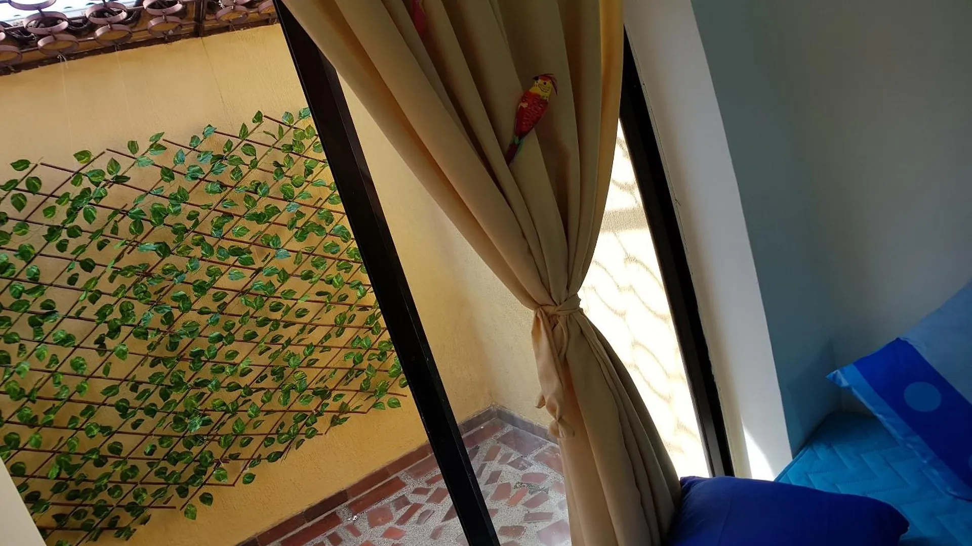 Casa Salsa Antoine Hostel Cali